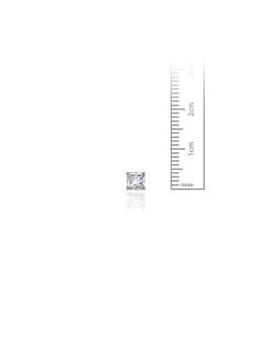 14K White Gold 4MM Square CZ Screwback Stud Earrings><noscript><img width=