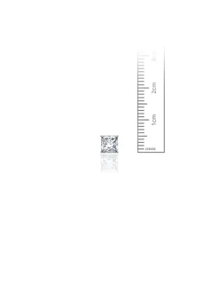 14K White Gold 5MM Square CZ Pushback Stud Earrings>Isaac Mizrahi Discount