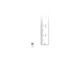 14K Yellow Gold 2.5MM Round CZ Screwback Stud Earrings><noscript><img width=