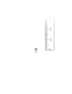 14K Yellow Gold 2MM Round CZ Screwback Stud Earrings><noscript><img width=