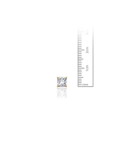 14K Yellow Gold 5MM Square CZ Screwback Stud Earrings><noscript><img width=